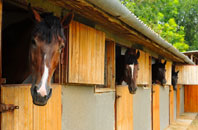 free Stormore stable construction quotes